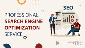 professional search engine optimization services