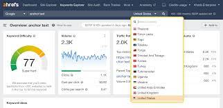 seo rank monitor