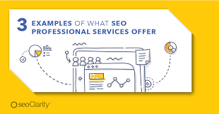 seo professional services