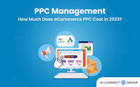 ecommerce ppc management