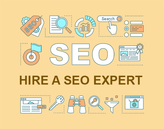 search engine optimization expert