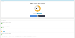 seo website checker