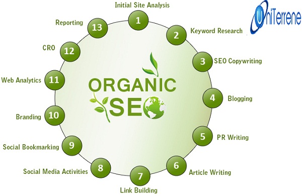 organic seo services